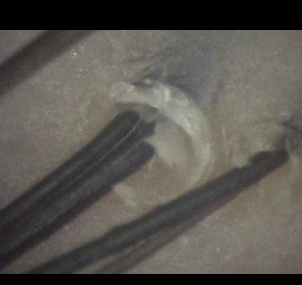 Image #2 from Lauri M.